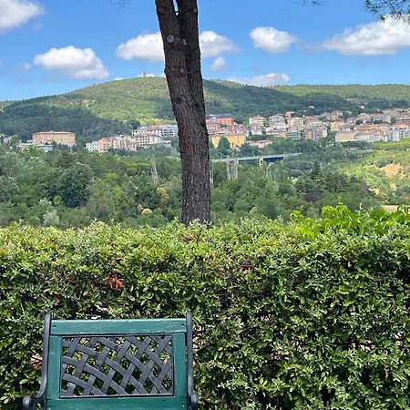Pereta